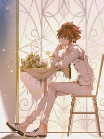 叶辰给姐姐结婚